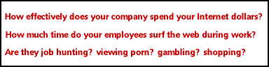 How does your company use the Internet?